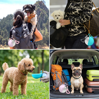 BuddyPup | Water & Snack Bowl
